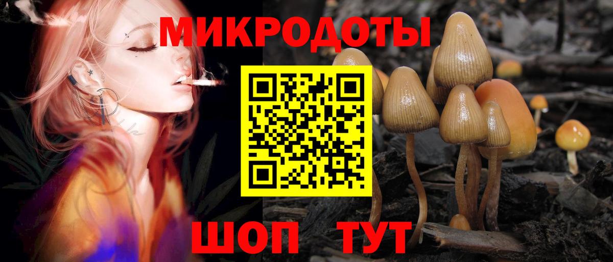 Псилоцибиновые грибы GOLDEN TEACHER  Вход с VPN  Ступино 